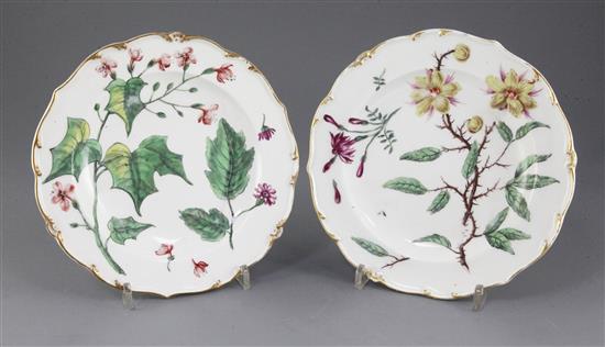 A pair of Chelsea botanical dessert plates, c.1765, one plate with firing crack